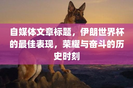 自媒体文章标题，伊朗世界杯的最佳表现，荣耀与奋斗的历史时刻