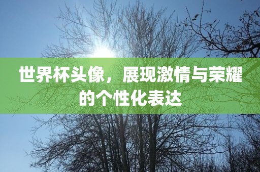 世界杯头像，展现激情与荣耀的个性化表达洪湖市顺升工程机械租赁有限公司