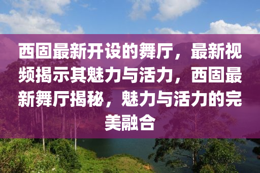 重温经典，2006年世界杯半决赛回顾