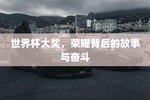 世界杯大奖，荣耀背后的故事与奋斗