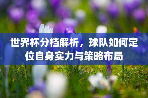 世界杯分档解析，球队洪湖市顺升工程机械租赁有限公司如何定位自身实力与策略布局