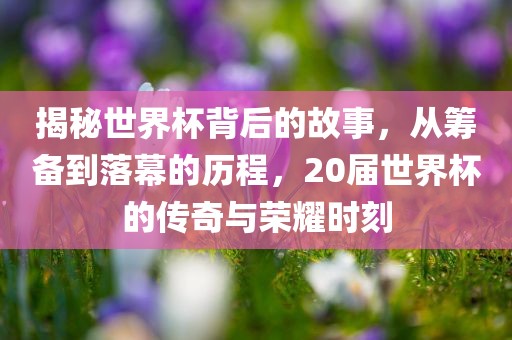 揭秘世界杯背后的故事，从筹备到落幕的历程，20届世界杯的传奇与荣耀时刻
