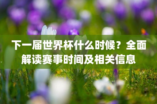下一届世界杯什么时候？全面解读赛事时间及相关信息