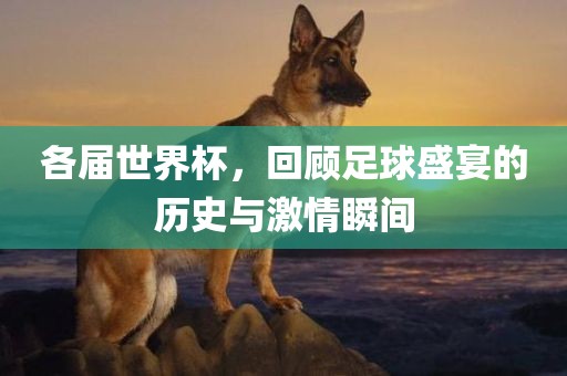 各届世界杯，回顾足球盛宴的历史与激情瞬间洪湖市顺升工程机械租赁有限公司