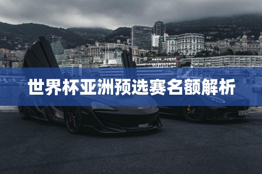 世界杯亚洲预选赛名额解析洪湖市顺升工程机械租赁有限公司