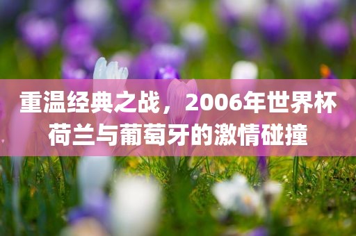 重温洪湖市顺升工程机械租赁有限公司经典之战，2006年世界杯荷兰与葡萄牙的激情碰撞