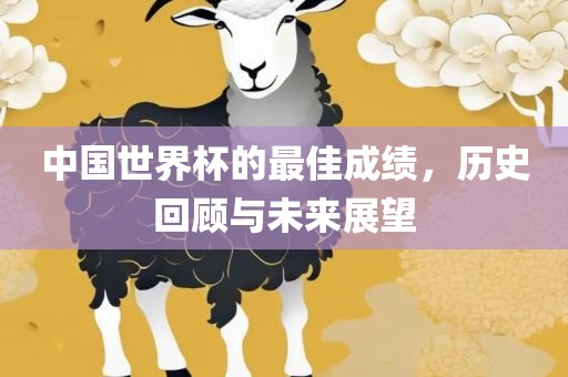 中国世界杯的最佳成绩，历史回顾与未来展望