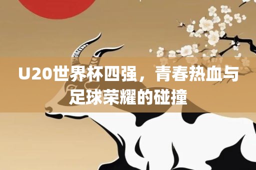 U20世界杯四强，青春热血与足球荣耀的碰撞