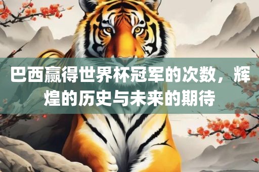 巴西赢得世界杯冠军的次数，辉煌的历史与未来的期待洪湖市顺升工程机械租赁有限公司