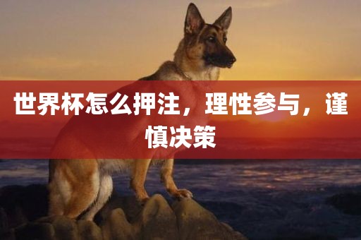 世界杯怎么押注，理性参与，谨慎决策