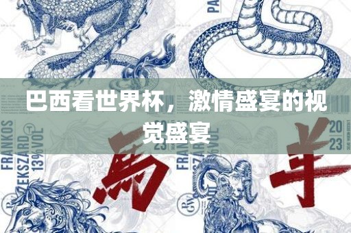 巴西看世界杯，激情盛宴的视觉盛宴洪湖市顺升工程机械租赁有限公司