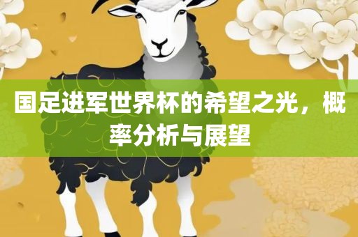 国足进军世界杯的希望之光，概率分析与展望