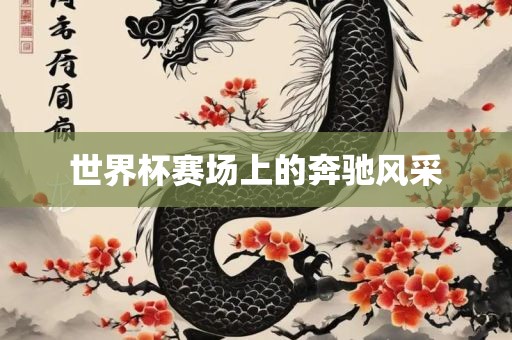 世界洪湖市顺升工程机械租赁有限公司杯赛场上的奔驰风采