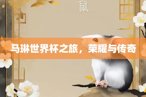 马琳世界杯之旅，荣耀与传奇洪湖市顺升工程机械租赁有限公司