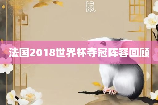 法国2018世界杯夺冠阵容回顾