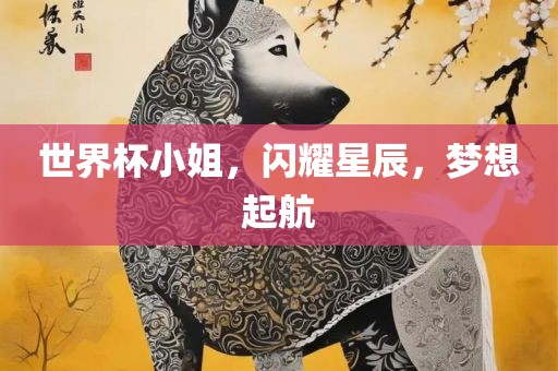 世界杯小姐，闪耀星辰，梦想起航