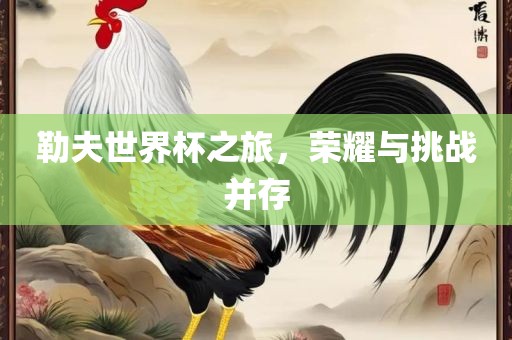 勒夫世界杯之旅，荣耀与挑战并存