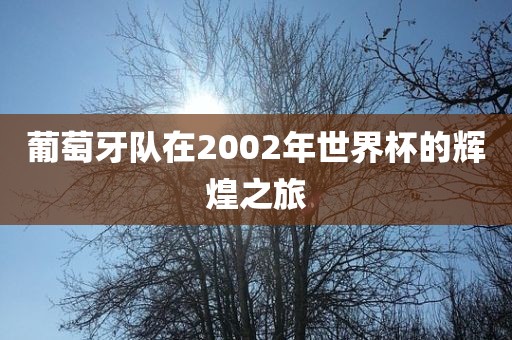 葡萄牙队在2002年世界杯的辉煌之旅洪湖市顺升工程机械租赁有限公司