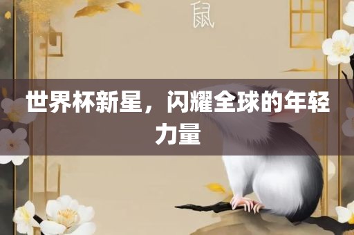 世界杯新星，闪耀全球的年轻力量