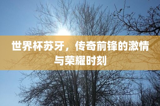 世界杯苏牙，传奇前锋的激情与荣耀时刻洪湖市顺升工程机械租赁有限公司