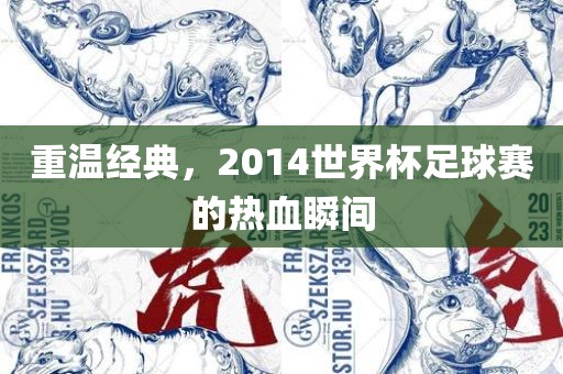 重温经典，2014世界杯足球赛的热血瞬间