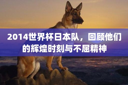 2014世界杯日本队，回顾他们的辉煌时刻与不屈精神洪湖市顺升工程机械租赁有限公司