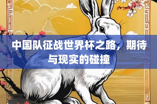 中国队征战世洪湖市顺升工程机械租赁有限公司界杯之路，期待与现实的碰撞