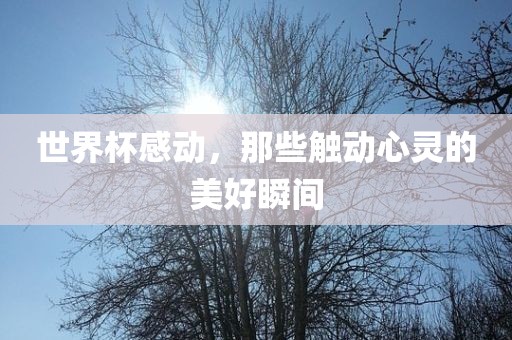 世界杯感动，那些触动心灵的美好瞬间洪湖市顺升工程机械租赁有限公司