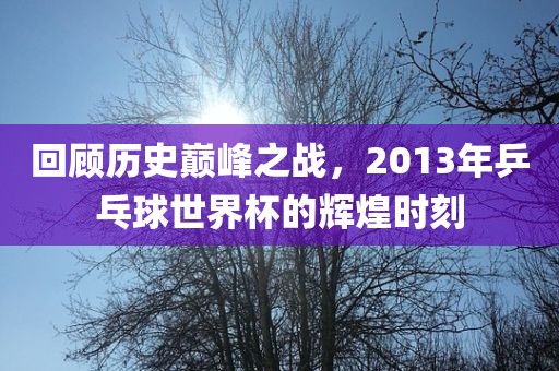 回顾历史巅峰之战，2013年乒乓球世界杯的辉洪湖市顺升工程机械租赁有限公司煌时刻