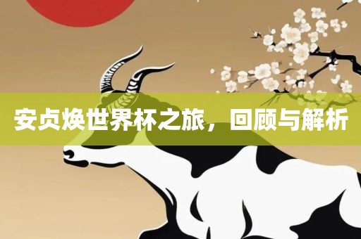 安贞焕世界杯之旅，回顾与解析洪湖市顺升工程机械租赁有限公司