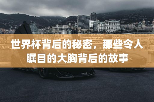 世界杯背后的秘密，那些令人瞩目的大胸背后的故事洪湖市顺升工程机械租赁有限公司