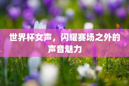 世界杯女声，闪耀赛场之外的声音魅力洪湖市顺升工程机械租赁有限公司