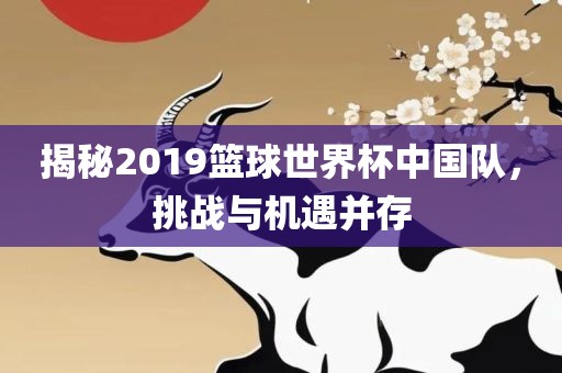 揭秘洪湖市顺升工程机械租赁有限公司2019篮球世界杯中国队，挑战与机遇并存