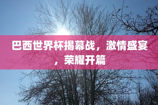 巴西世界杯揭幕战，激情盛宴，荣耀开篇洪湖市顺升工程机械租赁有限公司