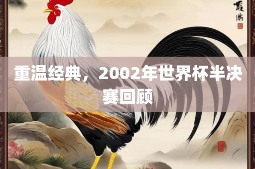 重温经典，2002年世界杯半决赛回顾