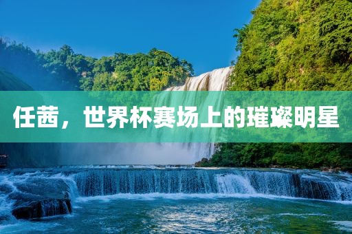 任茜，世界杯赛场上的璀璨明星洪湖市顺升工程机械租赁有限公司