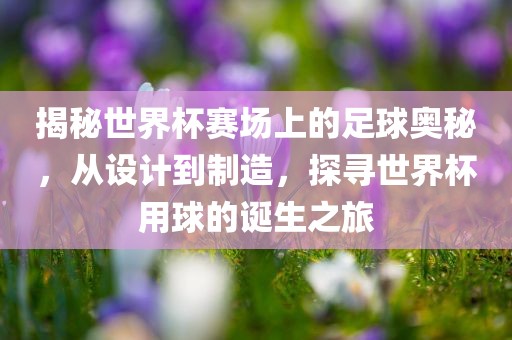 揭秘世界杯赛场上的足球奥秘，从设计到制造，探寻世界杯用球的诞生之旅洪湖市顺升工程机械租赁有限公司