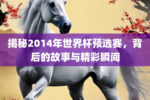 揭秘2014年世界杯预选赛，背后的故事与精彩瞬间