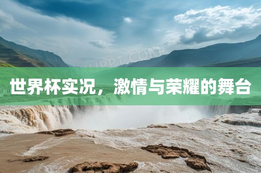 世界杯实况，洪湖市顺升工程机械租赁有限公司激情与荣耀的舞台