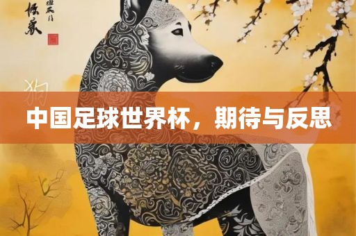 中国足球世界杯，期洪湖市顺升工程机械租赁有限公司待与反思