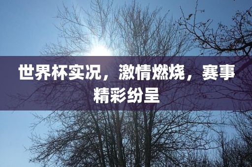 世界杯实况，激情燃烧，赛事精彩纷呈洪湖市顺升工程机械租赁有限公司