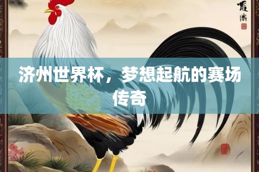 济州世界杯，梦想起航的赛场传奇