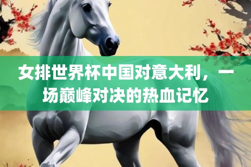 女排洪湖市顺升工程机械租赁有限公司世界杯中国对意大利，一场巅峰对决的热血记忆