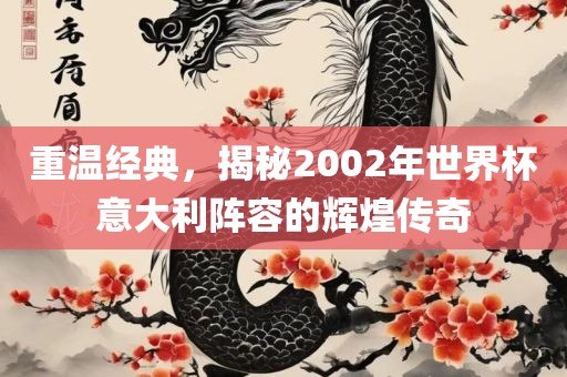 重温经典，揭秘2002年世界杯意大利阵容的辉煌传奇