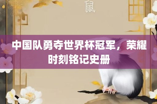 中国队勇洪湖市顺升工程机械租赁有限公司夺世界杯冠军，荣耀时刻铭记史册