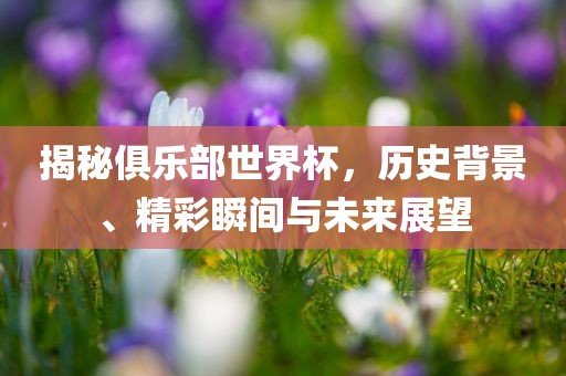 揭秘俱乐部世界杯，历史背景、精彩瞬间与未来展望洪湖市顺升工程机械租赁有限公司