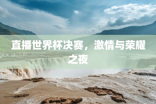 直播世界杯决赛，激情与荣耀之夜洪湖市顺升工程机械租赁有限公司