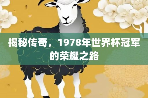 揭秘传奇，1978年世界杯冠军的荣耀之路