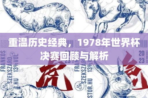 重温历史经典，1978年世界杯决赛回顾与解析