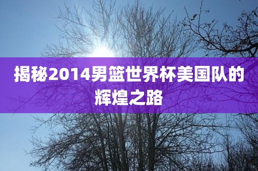揭秘2014男篮世界杯美国队的辉煌之路洪湖市顺升工程机械租赁有限公司